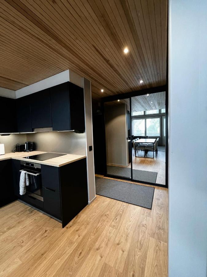 Levin Kunkku B Penthouse Aparthotel Kültér fotó
